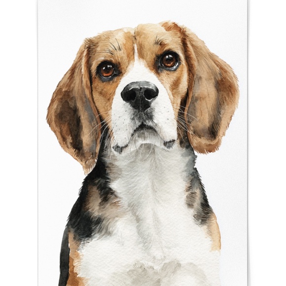 Watercolor Beagle Portrait Wall Art Print Poster, Unframed - Pet Artwork - Picture 2 of 5